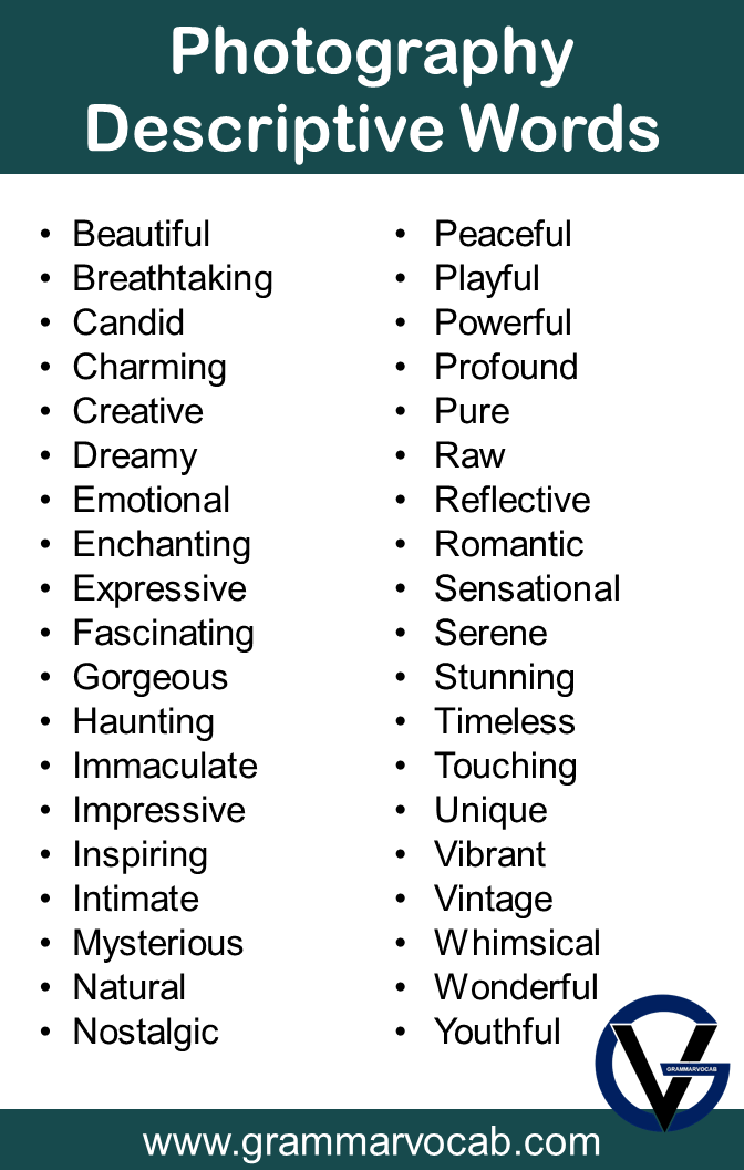 List of Photography Vocabulary Words | PDF - GrammarVocab