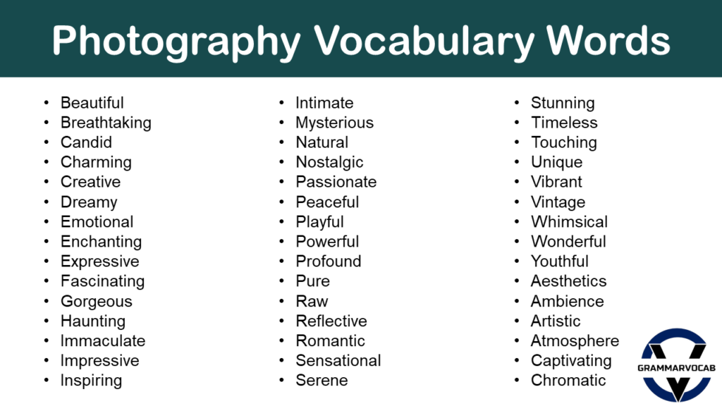 List Of Photography Vocabulary Words PDF GrammarVocab