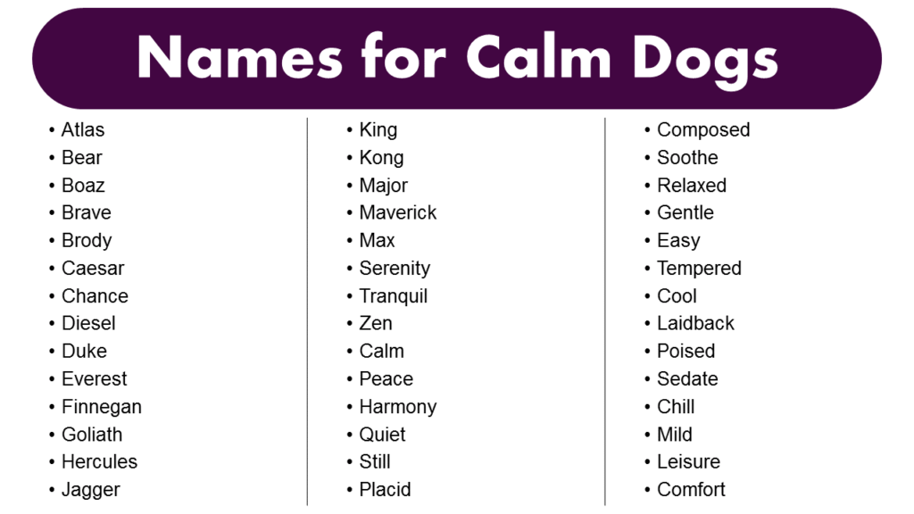 Good Names For Calm Dogs Best Calm Dogs Name Ideas GrammarVocab