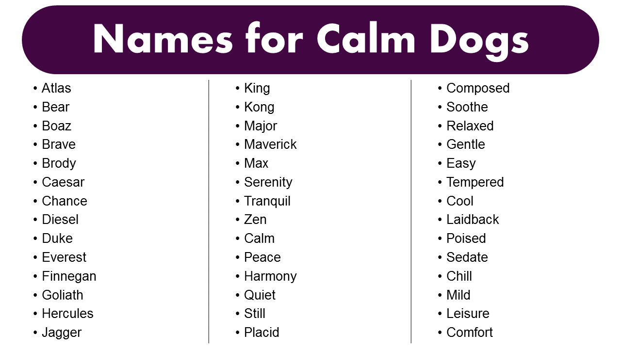 Good Names for Calm Dogs - Best Calm Dogs Name Ideas - GrammarVocab