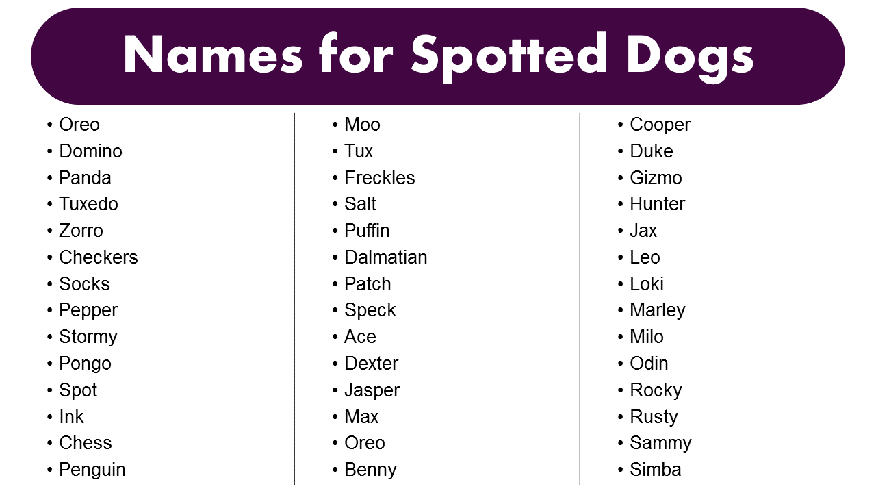 names-for-spotted-dogs-best-spotted-dogs-name-ideas-grammarvocab