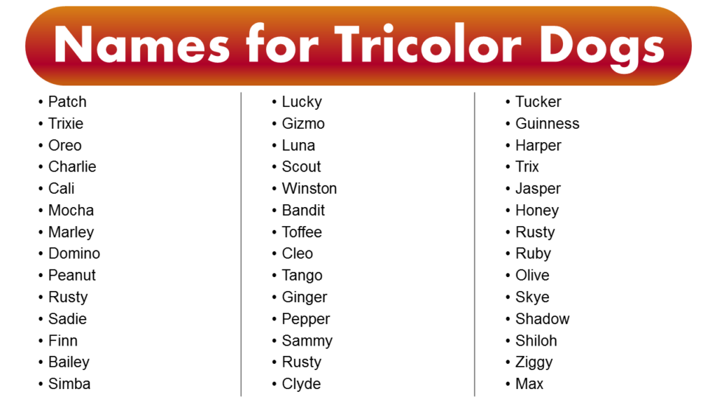 Names for Tricolor Dogs