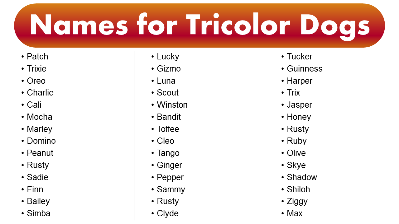 Names For Tricolor Dogs Name Ideas For Your Pet GrammarVocab