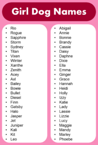 List Of Most Popular Girl Dog Names - GrammarVocab
