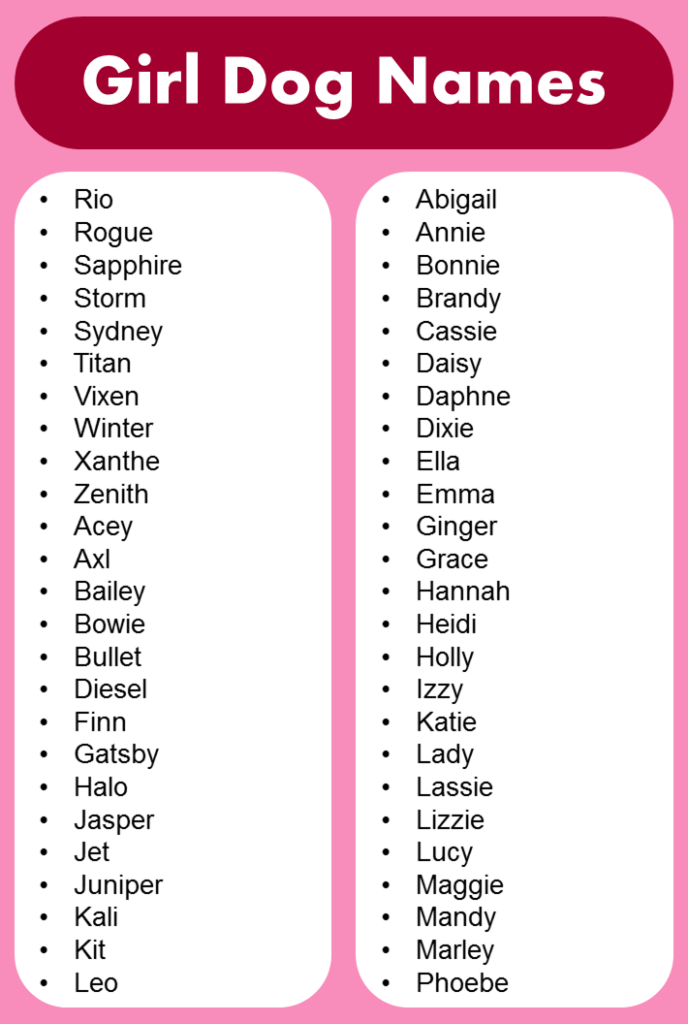 List Of Most Popular Girl Dog Names GrammarVocab