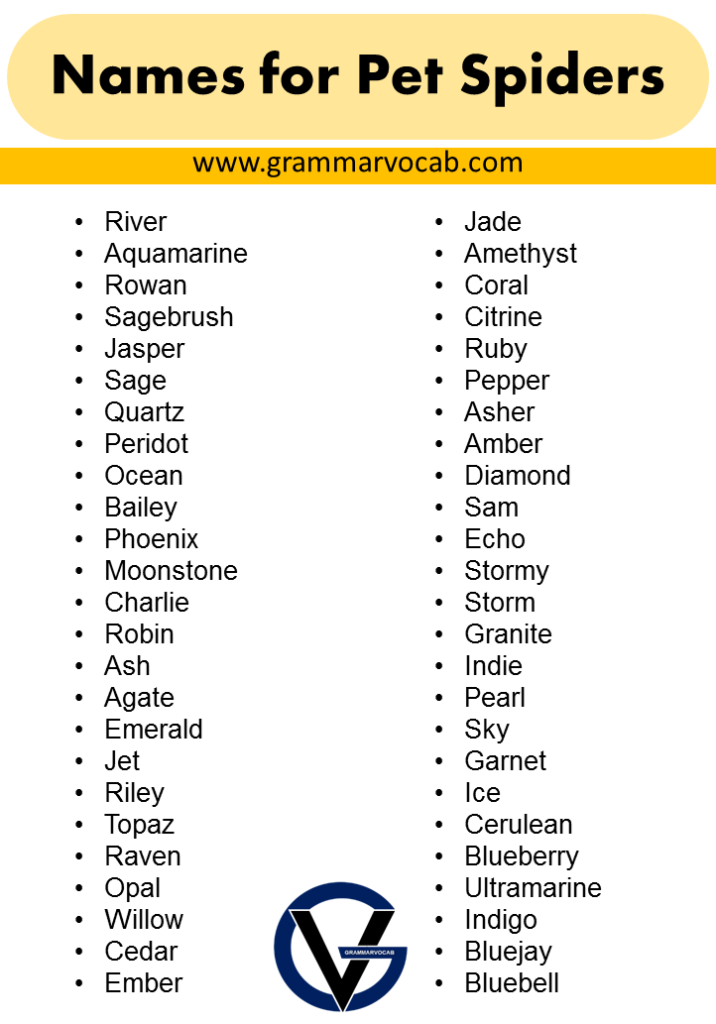 List of Names for Pet Spiders - Naming Tips - GrammarVocab