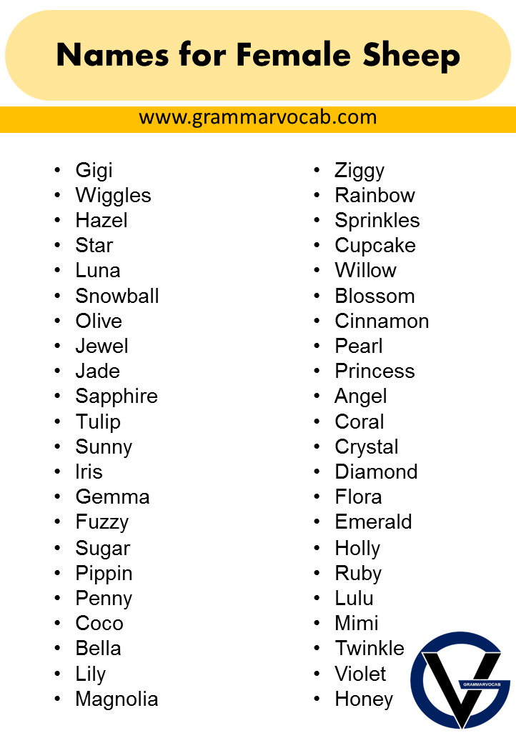 good-names-for-a-sheep-naming-ideas-grammarvocab