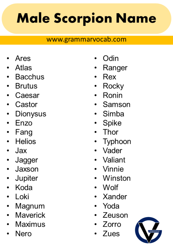 List Of Names for Pet Scorpions Naming Ideas GrammarVocab