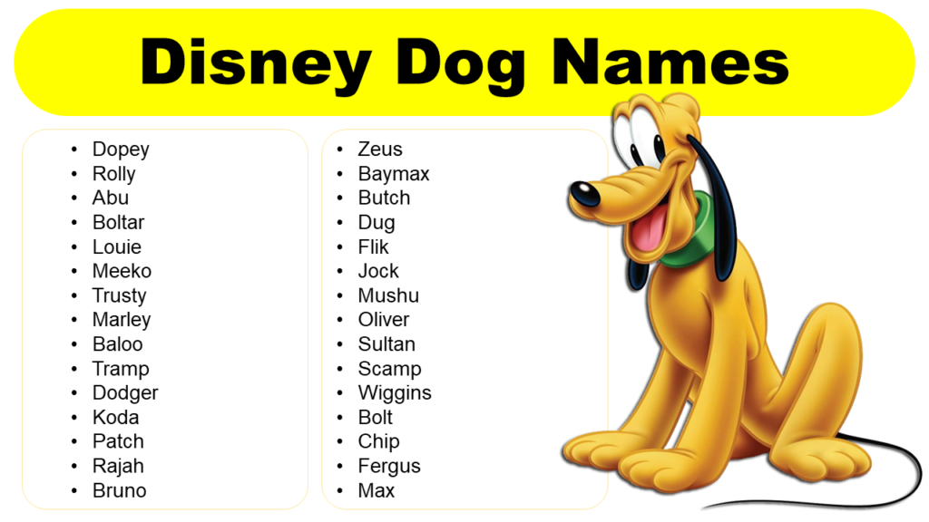 Disney Names For Dogs: A Magical Selection For Your Furry Friend