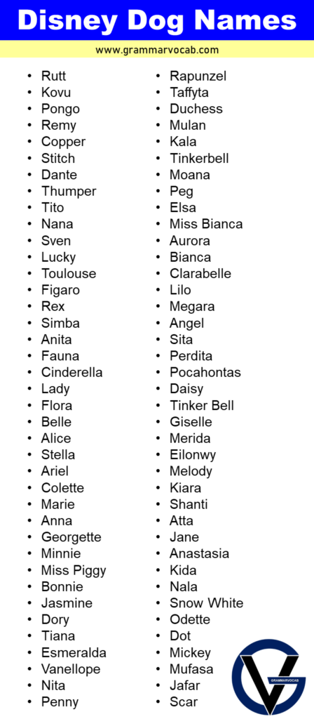 Disney Dog Names Male Female And Uncommon Names GrammarVocab disney-dog-names-male-female-and-uncommon-names-grammarvocab
