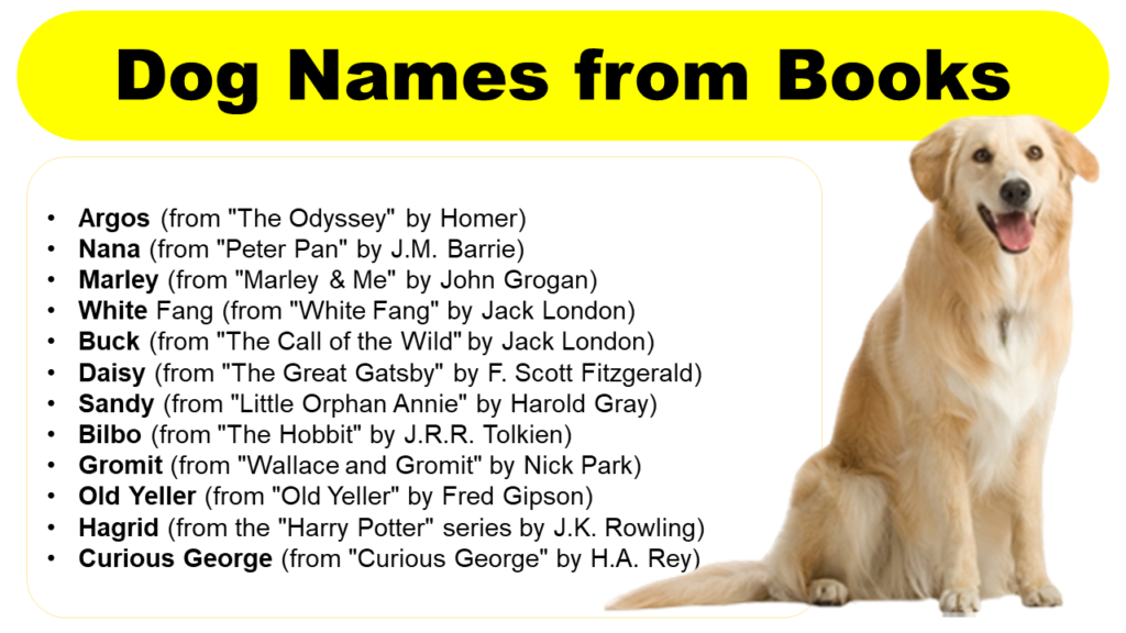 Dog Names from Books