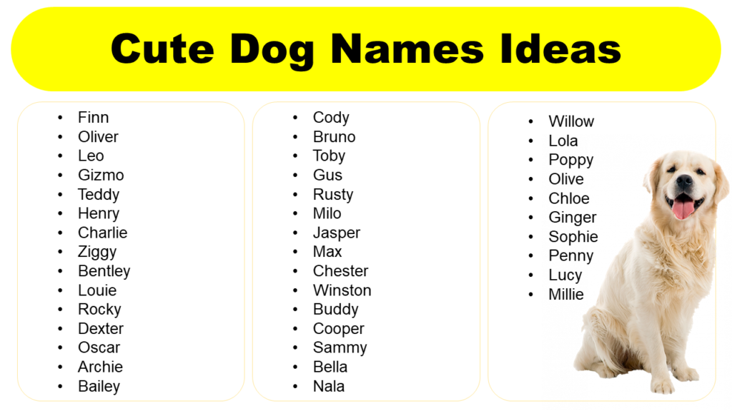 Cute Dog Names Uk