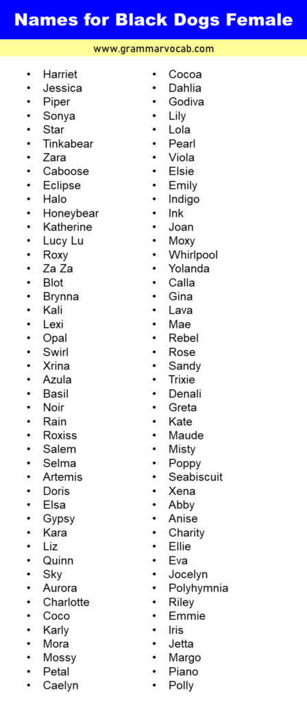 List of Names for Black Dogs Females - GrammarVocab