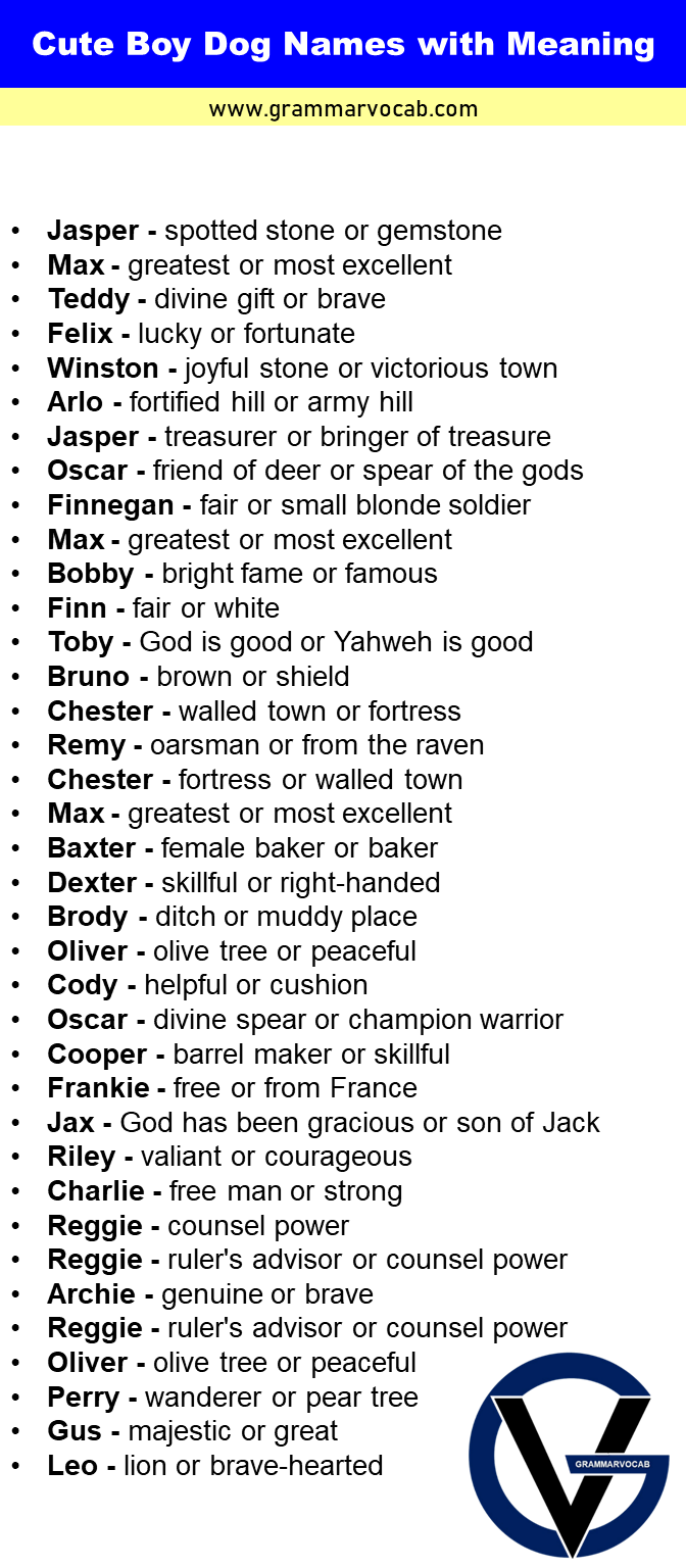 Cute Boy Dog Names with Meaning