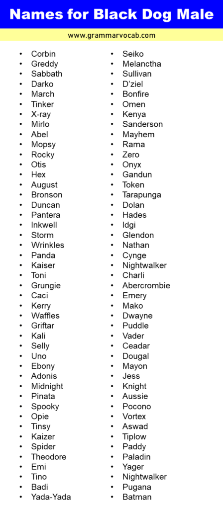 List of Male Black Dog Names - GrammarVocab