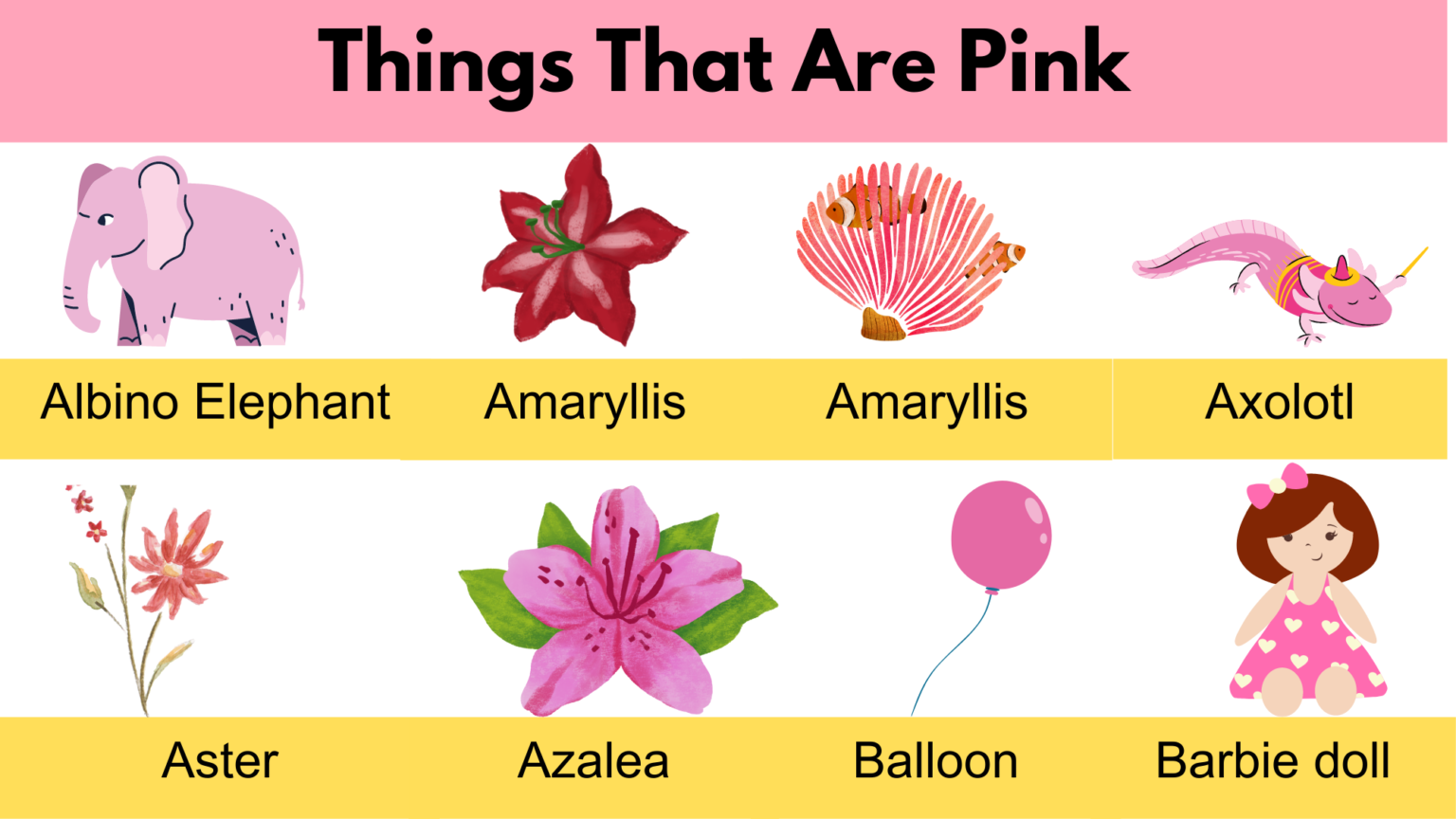 Things That Are Pink in Color | Naturally Pink Things - GrammarVocab