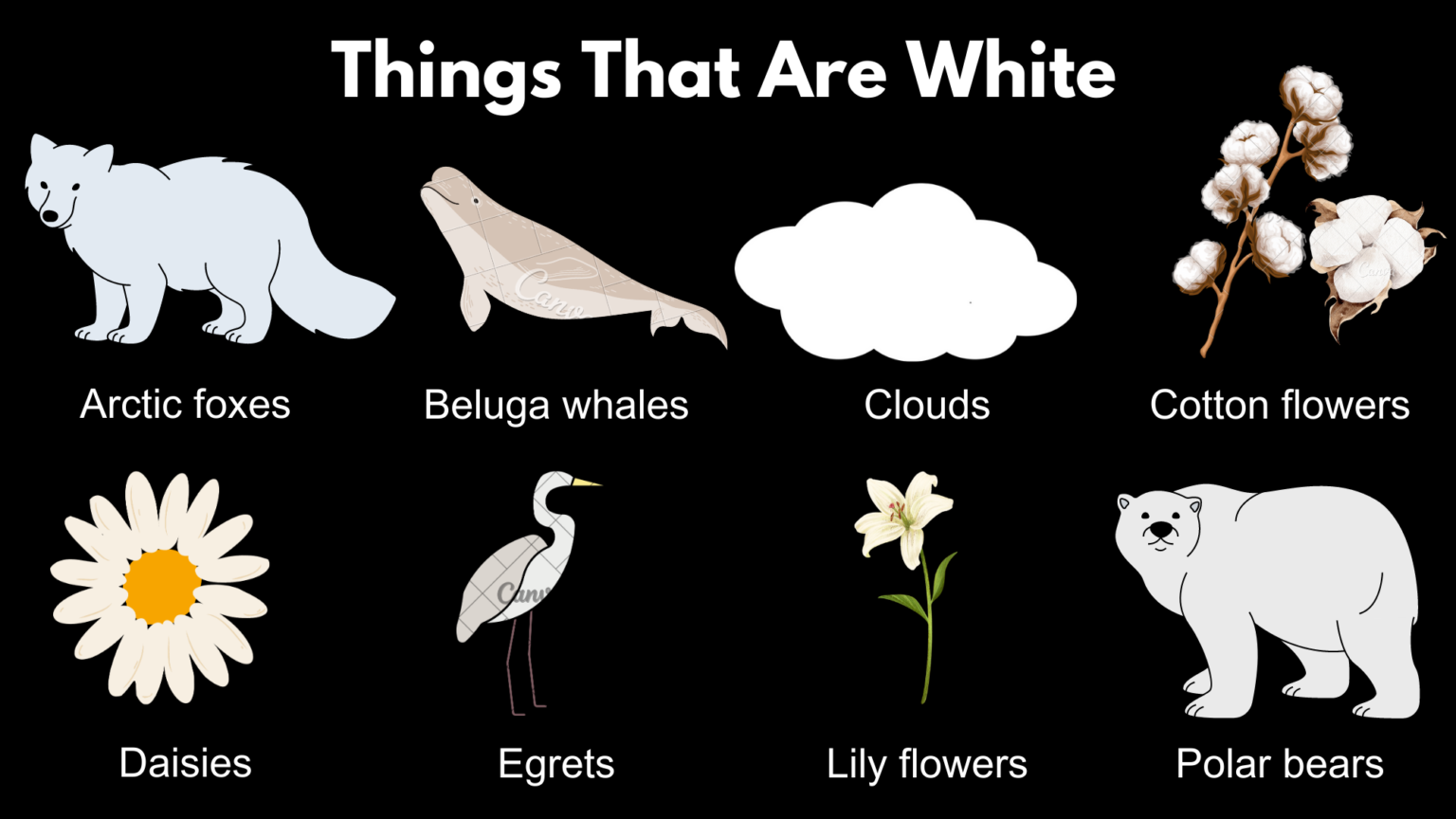 List of Things That Are White - GrammarVocab