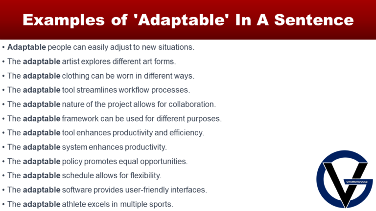 use-adaptable-in-a-sentence-grammarvocab