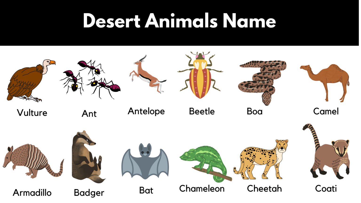 Desert Animals List With Pictures & Facts - GrammarVocab