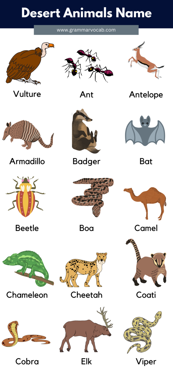 Desert Animals List With Pictures & Facts - GrammarVocab