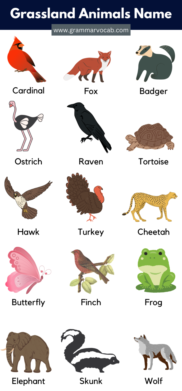 List of Grassland Animals in English with Pictures | PDF - GrammarVocab