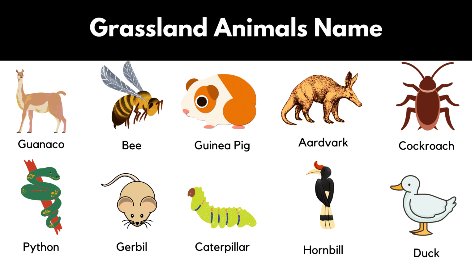 List Of Grassland Animals In English With Pictures | PDF - GrammarVocab