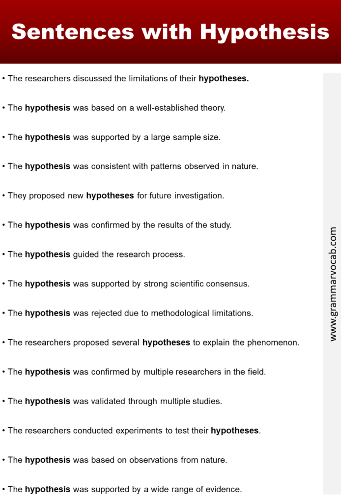 hypothesis kid sentence