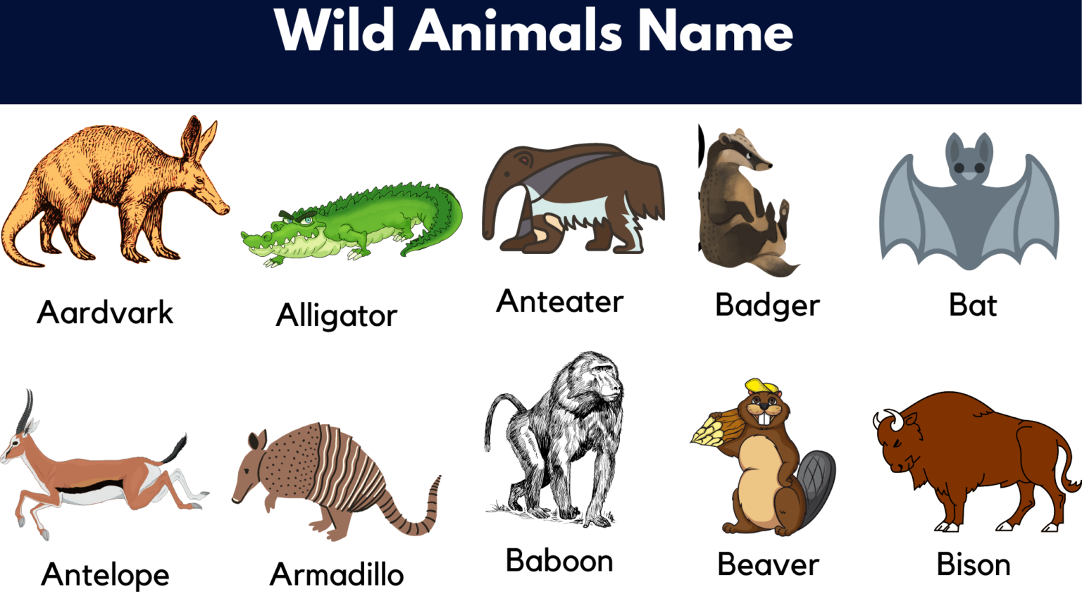 illinois-wild-animals-kindergarten-book-wilbooks