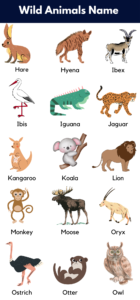 Wild Animals Name In English With Pictures - GrammarVocab