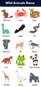 Wild Animals Name In English With Pictures - Grammarvocab