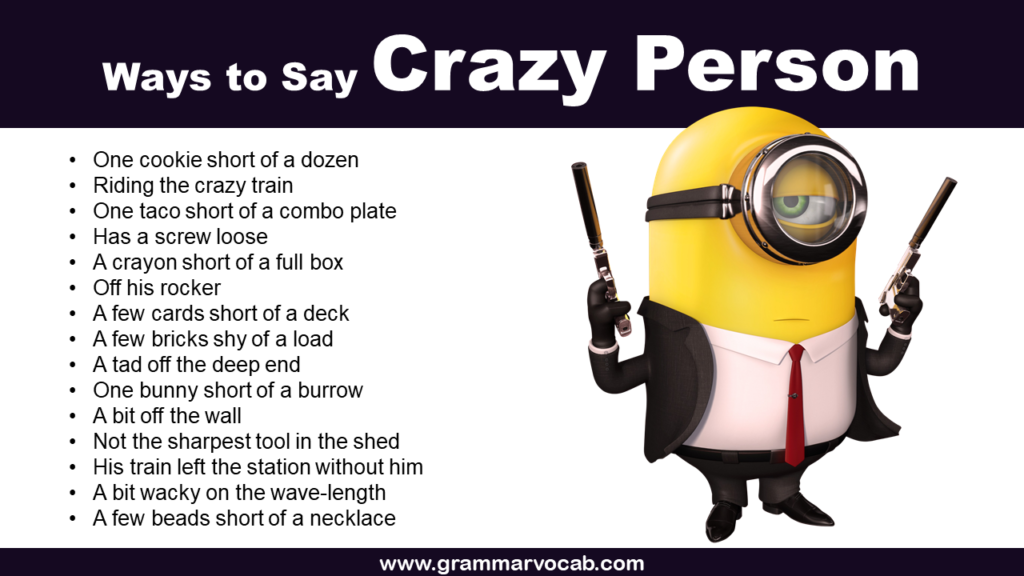Funny Ways to Say Crazy Person