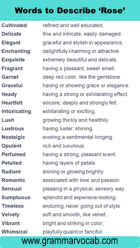 Adjectives: Words To Describe a Rose - GrammarVocab