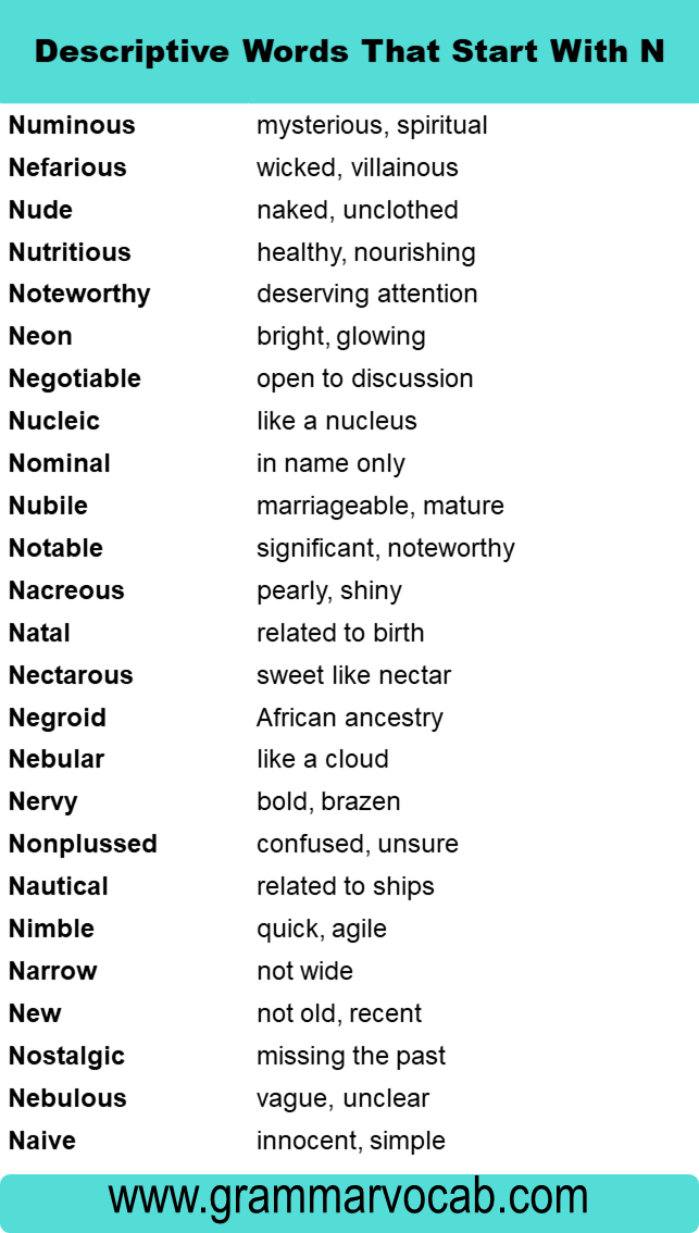 Descriptive Words That Start With N