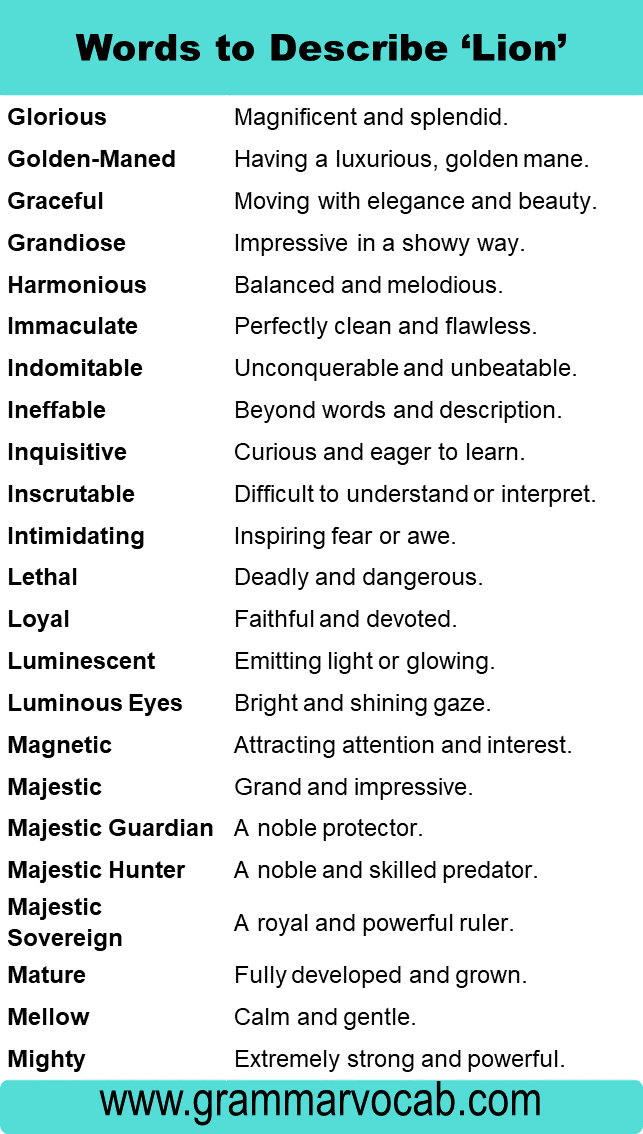 Adjectives for Lion