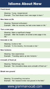 Idioms for New with Meaning and Examples - GrammarVocab