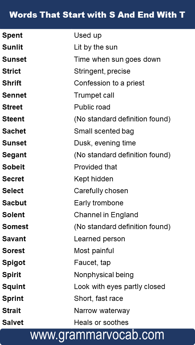 Words That Start with S And End With T