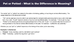 Pet or Petted – What is the Difference in Meaning? - GrammarVocab