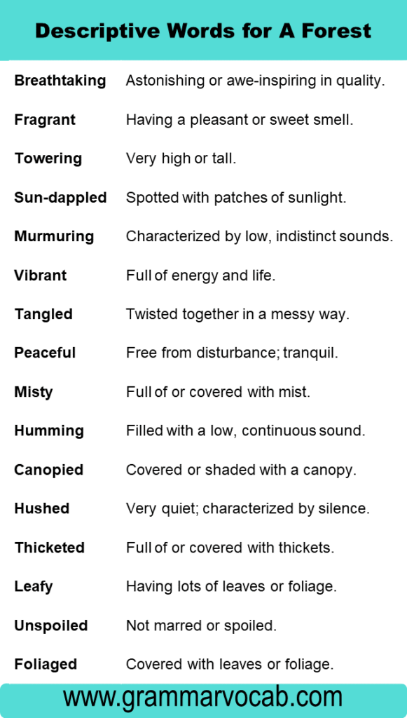 Descriptive Words for A Forest - GrammarVocab