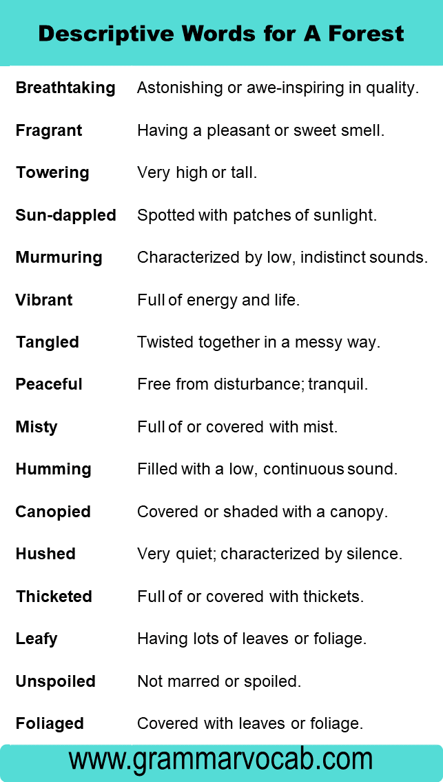 Adjectives for Forest