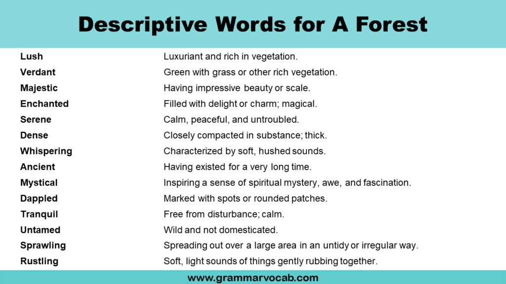 Descriptive Words for A Forest