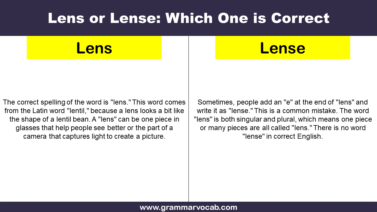 Lens or Lense Which One is Correct GrammarVocab