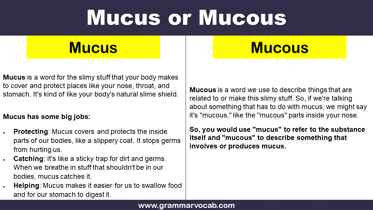 Mucous Or Mucus 