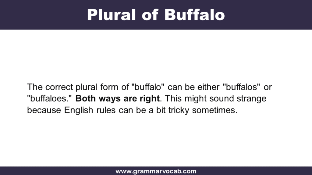 Plural of Buffalo
