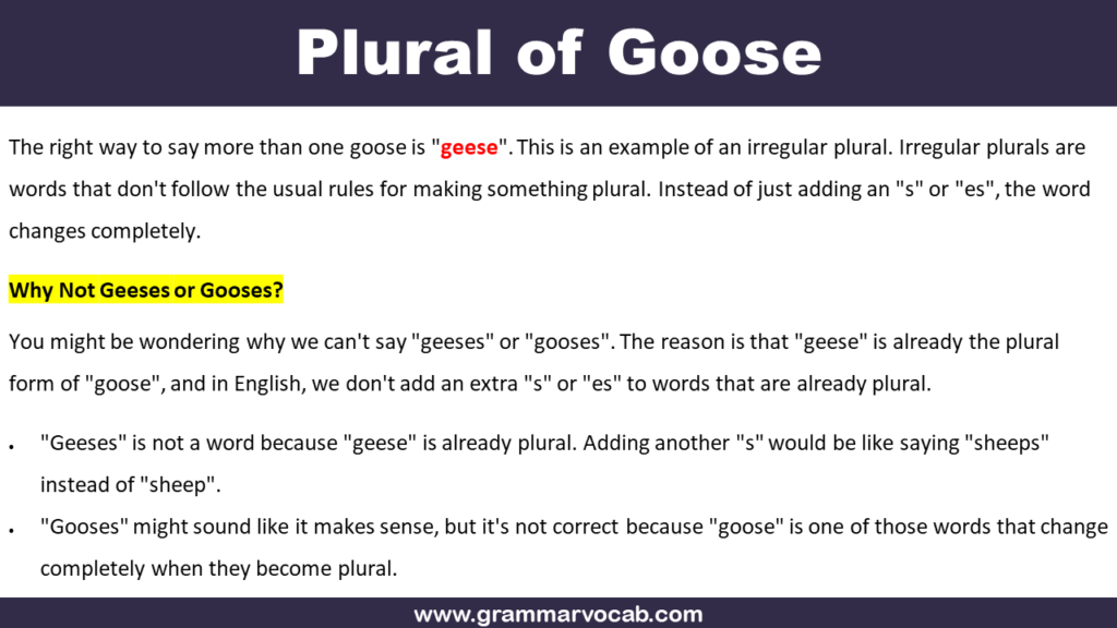 Plural of Goose