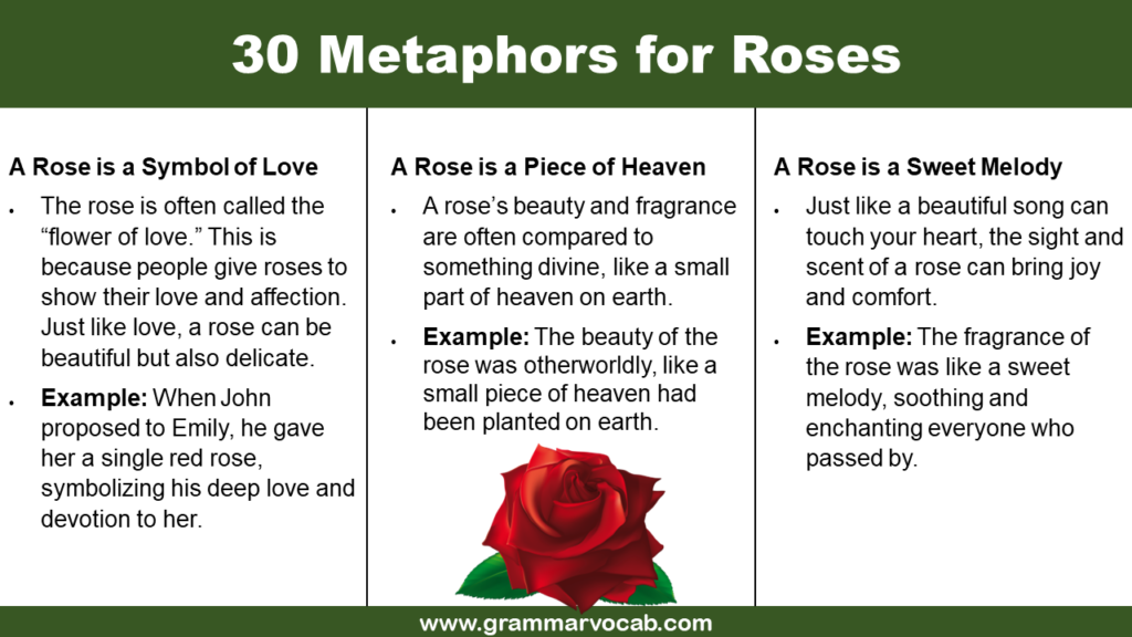 Metaphors for Roses