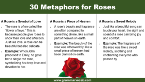 30 Metaphors for Roses - GrammarVocab